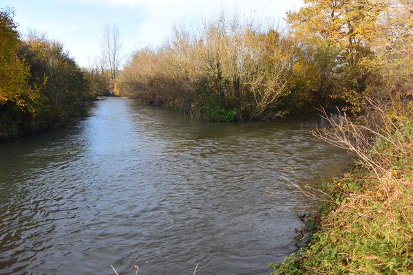 confluence bédat morge rive gauche (1)