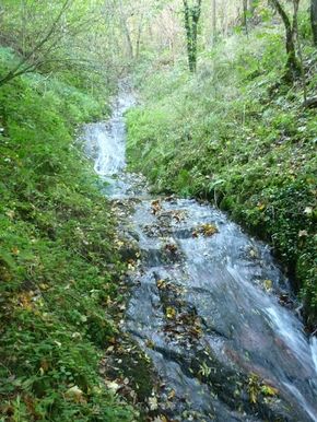 Gorges Cordoulet, (12) 290