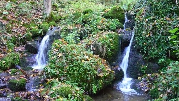 Gorges et cascades en amont de Sayat