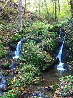 Gorges Cordoulet, (35) 290