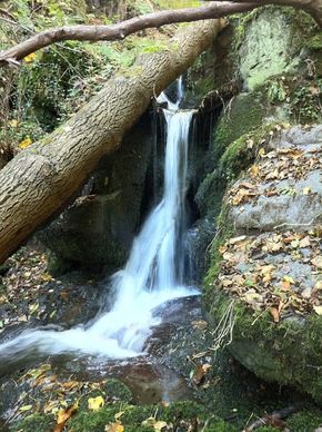 Gorges Cordoulet, (38) 290