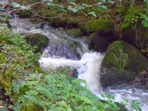 Gorges d'Enval (13) 290