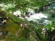 Gorges d'Enval (25) 190