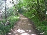 Gorges d'Enval (43) 190