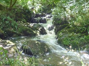 Gorges d'Enval (9) 290