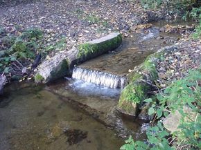 Ruisseau de l'Adrienne (3) 290