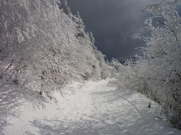 chemin des muletiers neige glace hiver