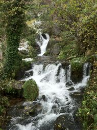 Chute Saut Catéro (2) 190