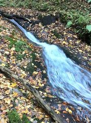 Gorges Cordoulet, (19) 240