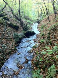 Gorges Cordoulet, (21) 190