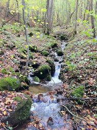 Gorges bédat courdoulet Chanat (13) 190