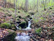 Gorges bédat courdoulet Chanat (12) 190