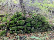 Gorges bédat courdoulet Chanat (15) 190