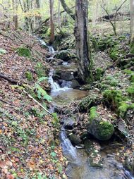 Gorges bédat courdoulet Chanat (19) 190