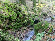 Gorges bédat courdoulet Chanat (22) 190