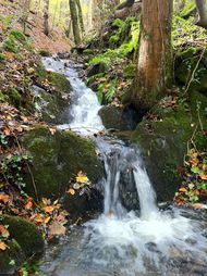 Gorges bédat courdoulet Chanat (23) 190