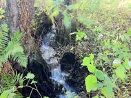 Gorges bédat courdoulet Chanat (30) 190