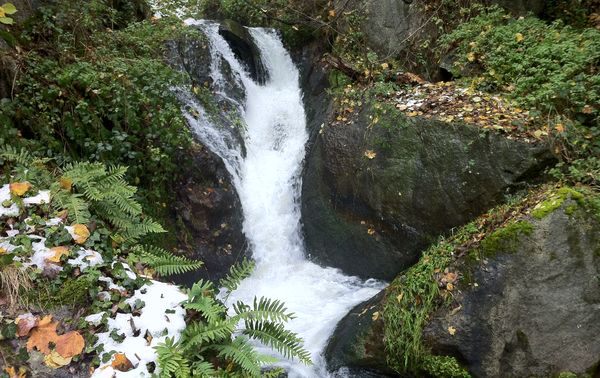 La chute du Saut Catéro