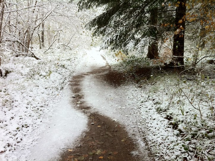 Photographies et vidéos de la neige du côté de Laschamps