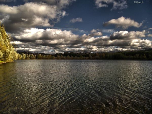 Photographies d'un étang à Pérignat sur Allier de Pierre Bonnel 