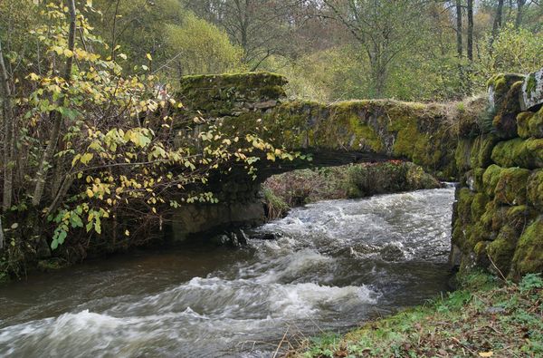 Pont massage St pierre Roche