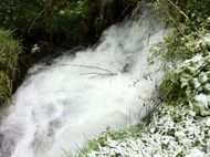 Tiretaine gorges de Royat (1) 190