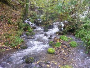 Tiretaine gorges de Royat (6) 290