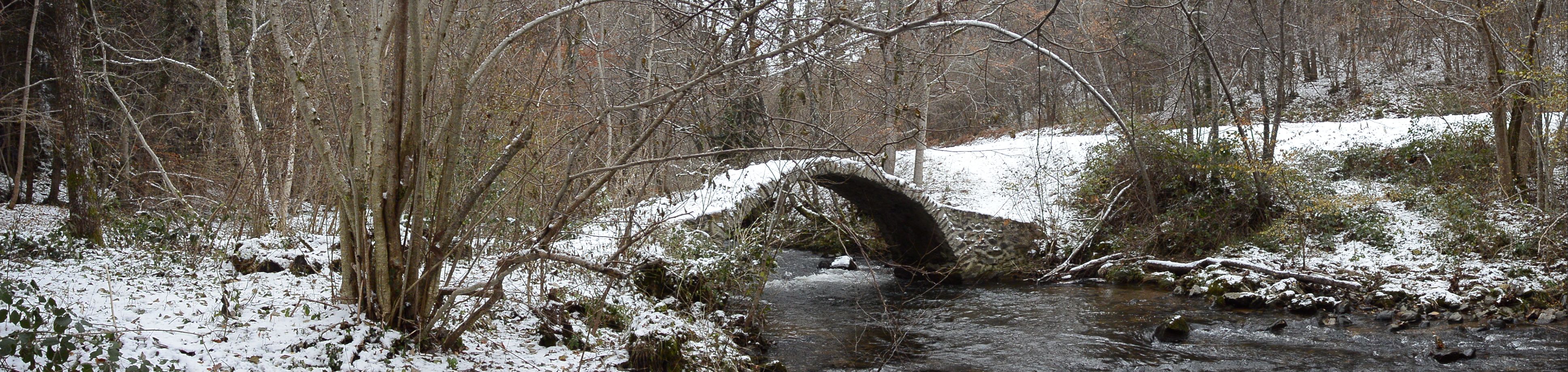 DSC_0146.jpg