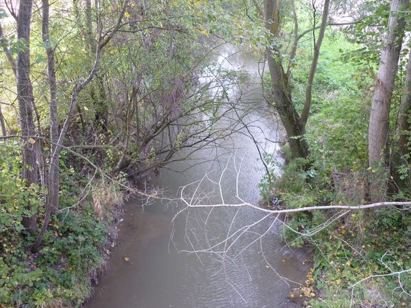 Ruisseau-Buron-7 barnazat