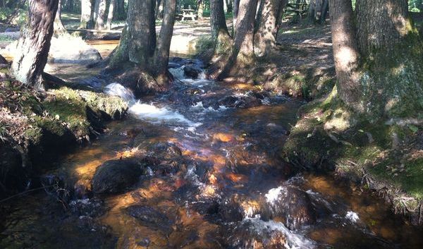 Le Couzon : rivière du Forez