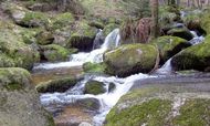 Gorges du Couzon