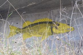 Pont bâteau Mirefleurs Allier Martres de Veyre (2) 290