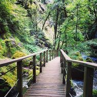 gorges Jordanne passrelle 190