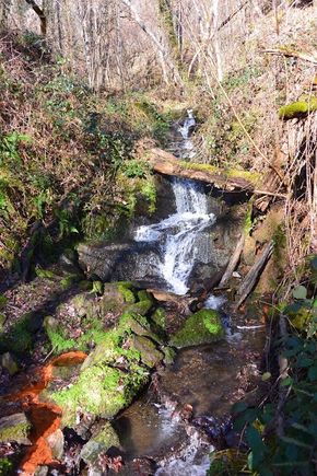 Font Saladô - Fontaine Salée Chanat la Mouteyre Nohanent (1)