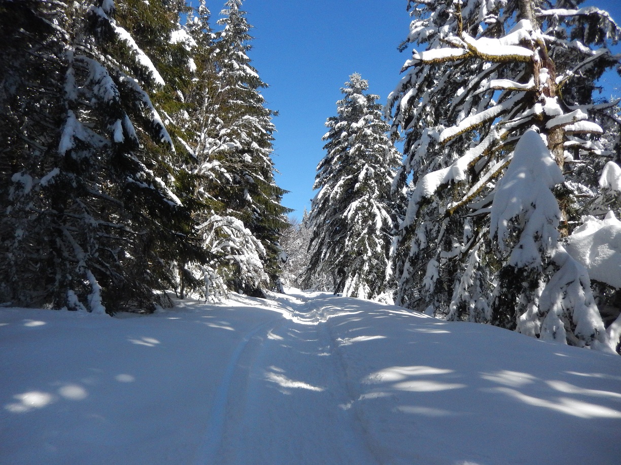 DSCN1313.jpg