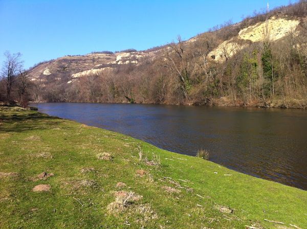 Les rives de l'Allier en amont des Martres-de-Veyre