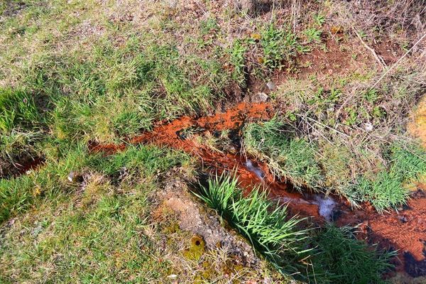 étang source de l'ours ou du gros bouillon (3)