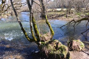 La confluence entre la Miouze et la Sioule