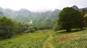 fond de vallée de Chaudefour