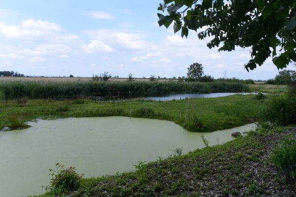 Le marais de Lambre