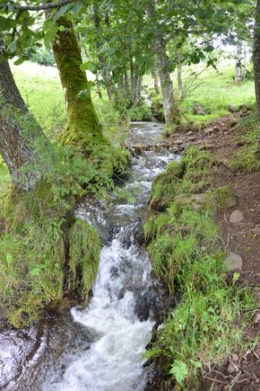 Siolu juste après sa source (1)