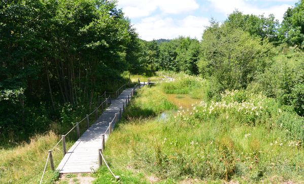 chemin en bois zone humide Saint Genés Champanelle