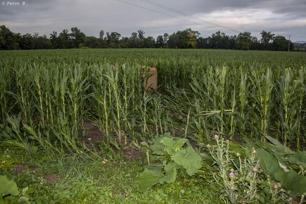 dégâts Saint Bonnet près Riom tornade 20 juillet 2014 (1) 600