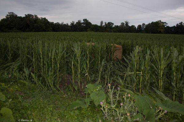 dégâts Saint Bonnet près Riom tornade 20 juillet 2014 (600)