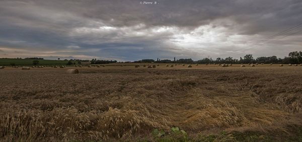 impact tornade 20 juillet 2014 (600)