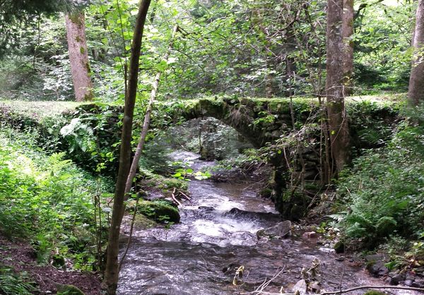 La Sumène : petite rivière de Haute-Loire