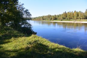 L'Allier en amont de la confluence avec la Sioule (1)