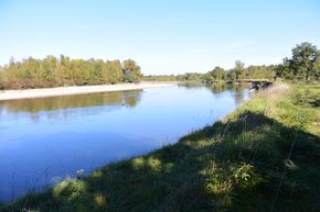 L'Allier en amont de la confluence avec la Sioule (2)