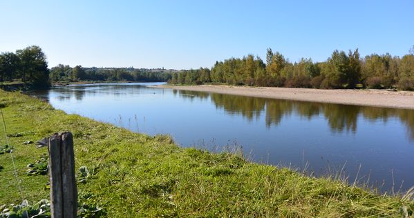 La confluence entre la Sioule et l'Allier