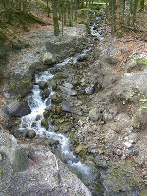 ruisseau cascade du serpent - Sancy